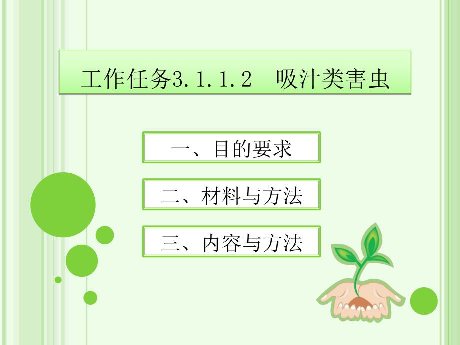 吸汁类害虫_第1页