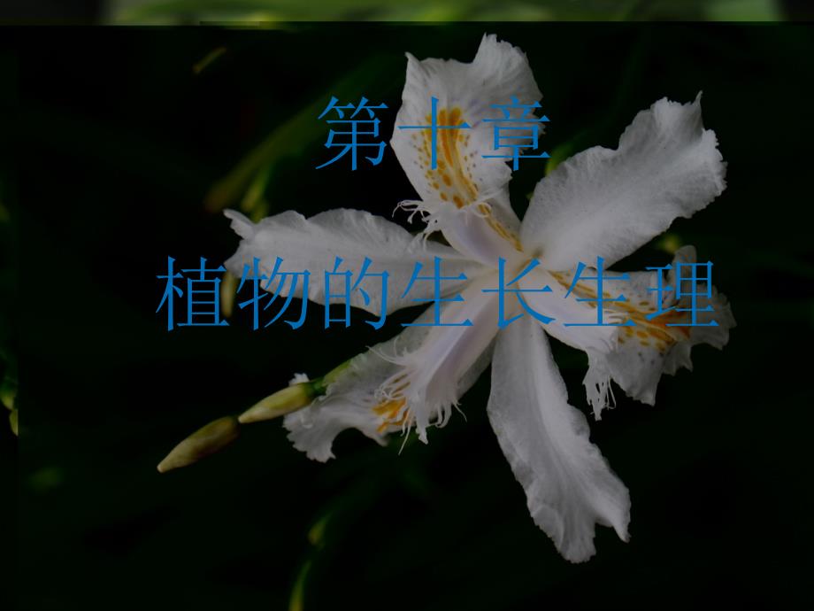 第10章植物生长生理_第1页