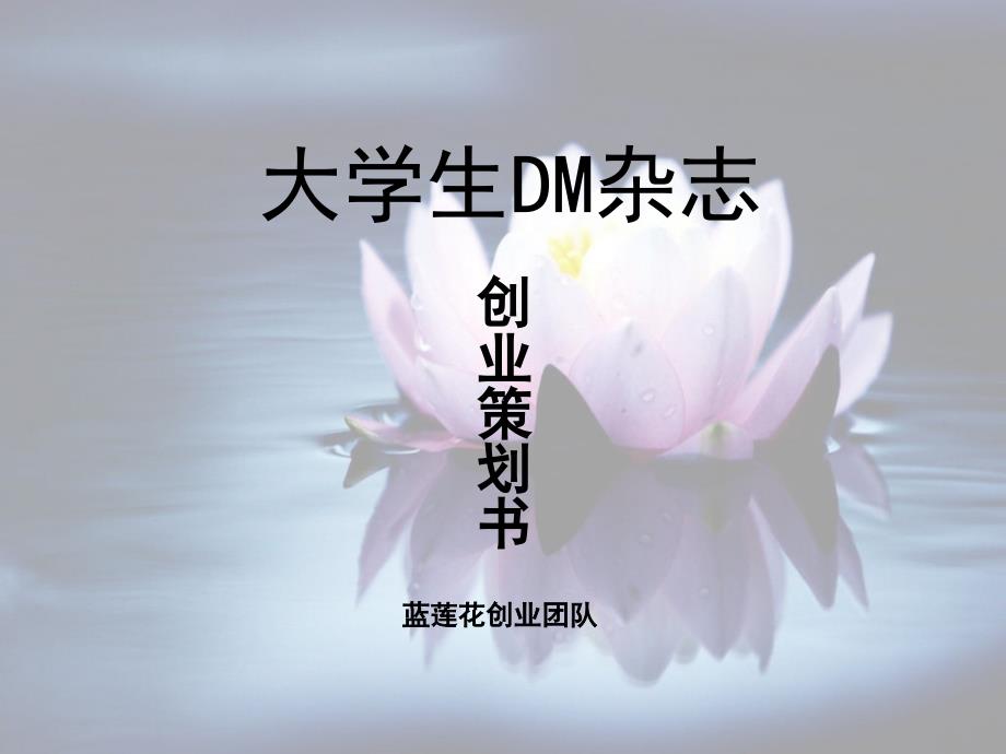 大学生DM杂志创业策划_第1页