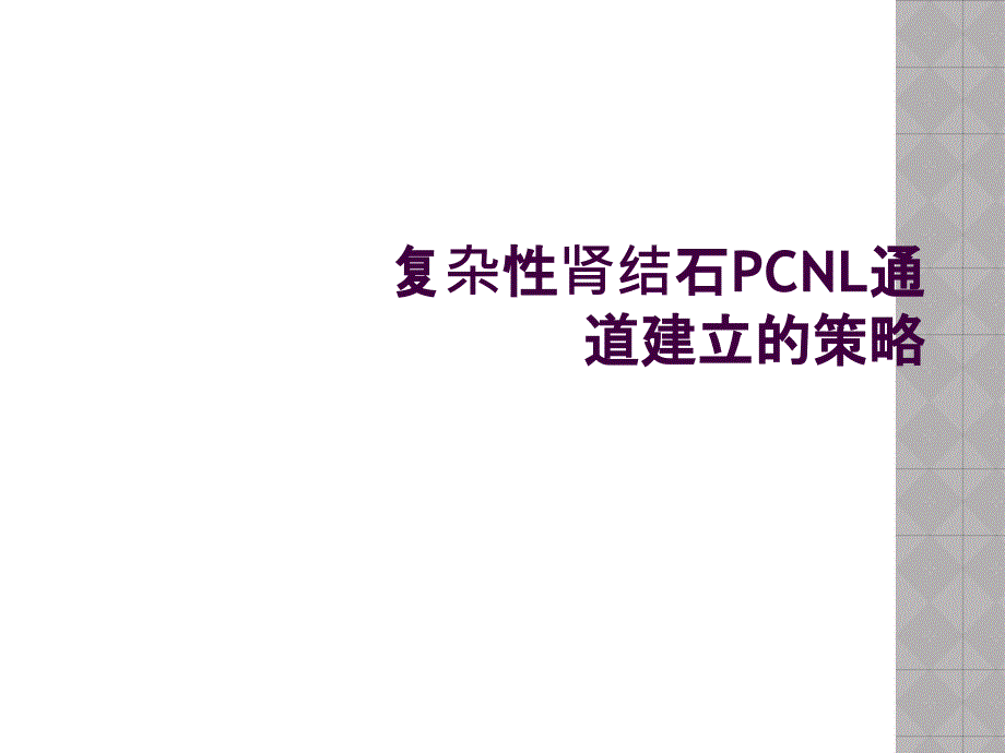 复杂性肾结石PCNL通道建立的策略_第1页