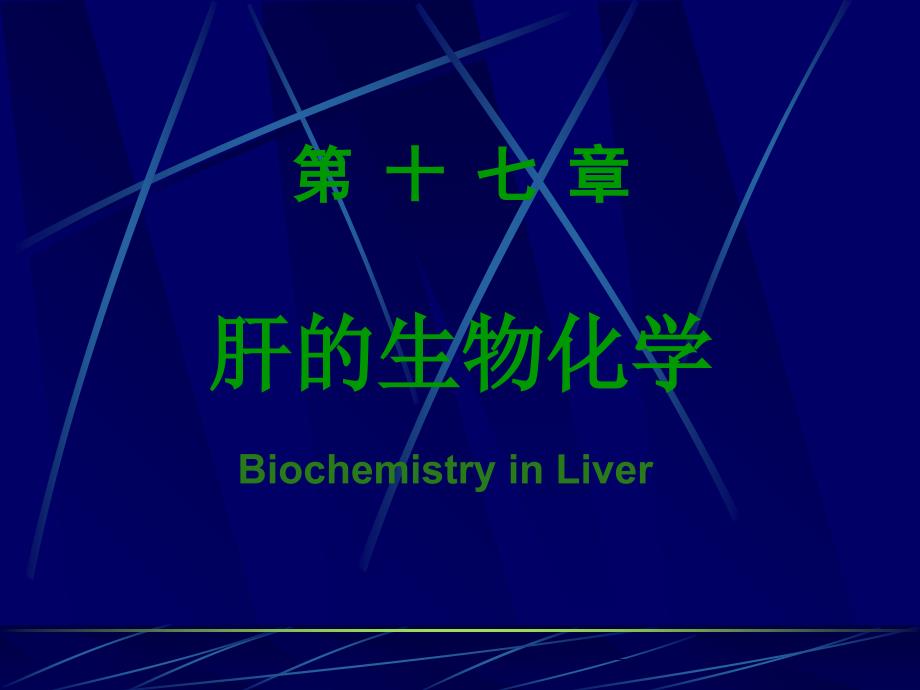 生物化学第4篇第17章专题篇肝的生物化学_第1页