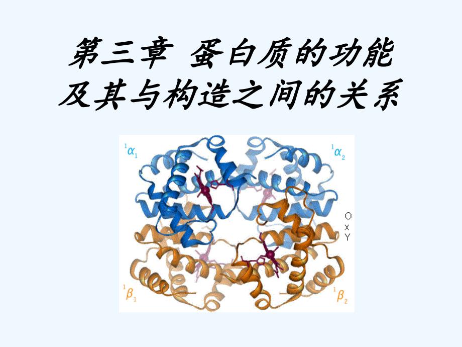 杨荣武生物化学第三章蛋白质的功能及其与结构之间的关系_第1页