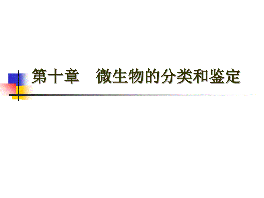 放线菌伯杰氏系统细菌学手册_第1页