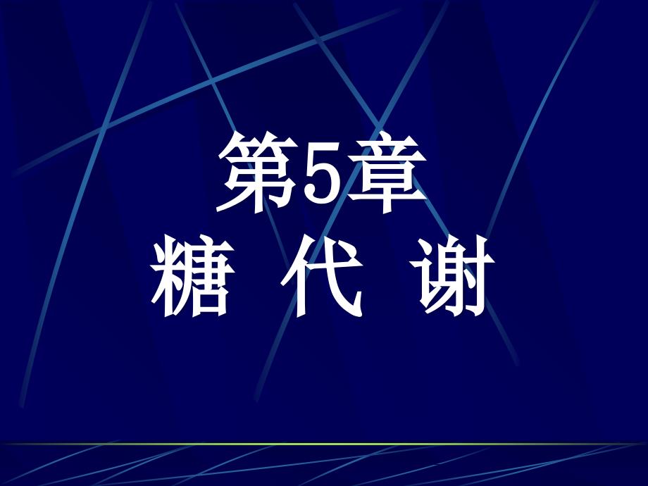 生物化学课件第5章糖代谢_第1页