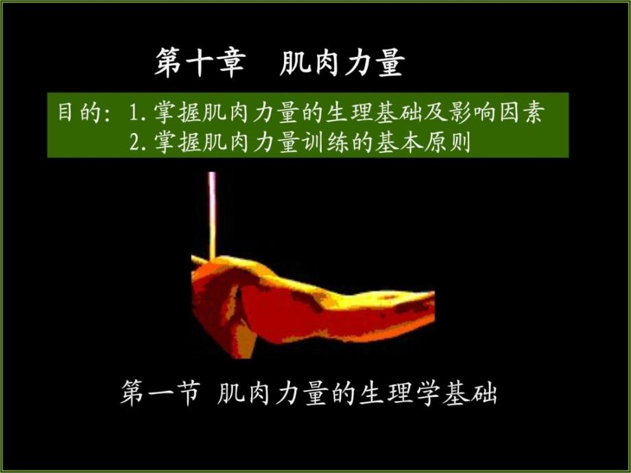 运动生理学10肌肉力量_第1页