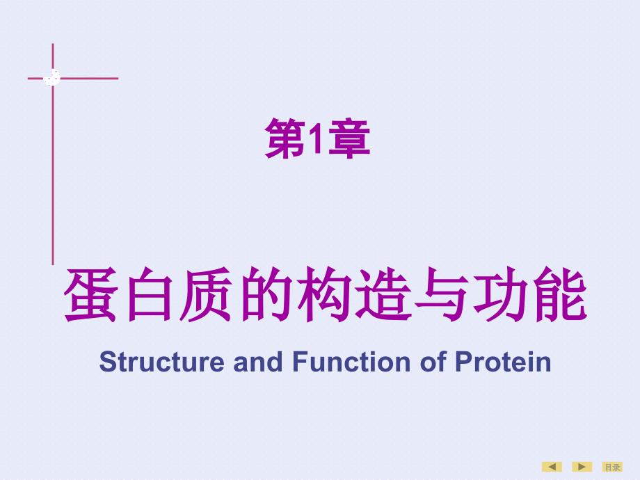 生物化学第01章蛋白质的结构与功能_第1页