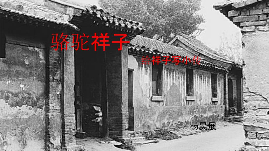 给祥子写小传_第1页