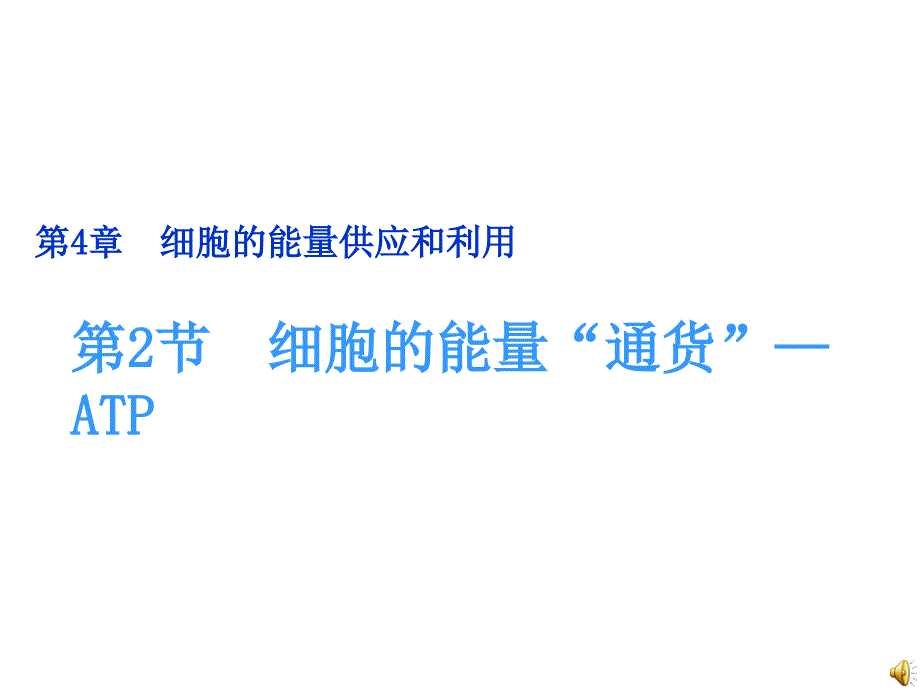 细胞能量通货ATP 副本_第1页