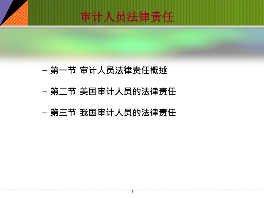 四、审计人员法律责任_第1页