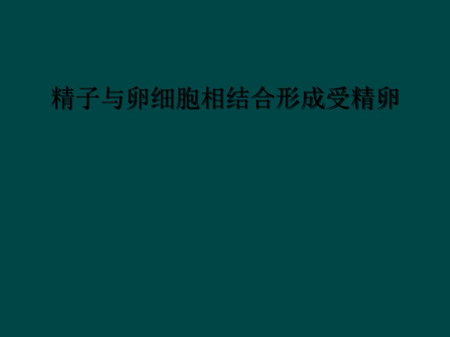 精子与卵细胞相结合形成受精卵_第1页