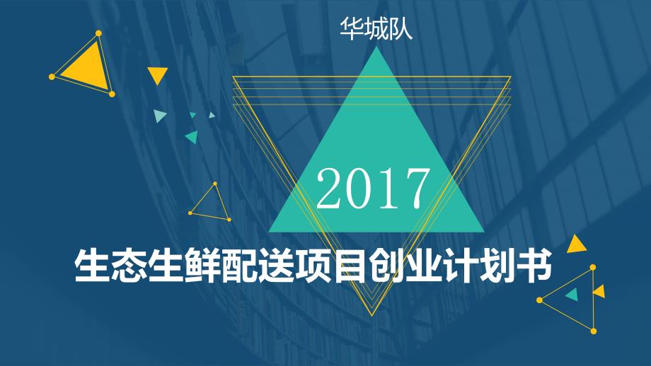 生态生鲜配送项目创业计划书_第1页