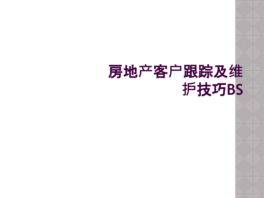 房地产客户跟踪及维护技巧BS_第1页