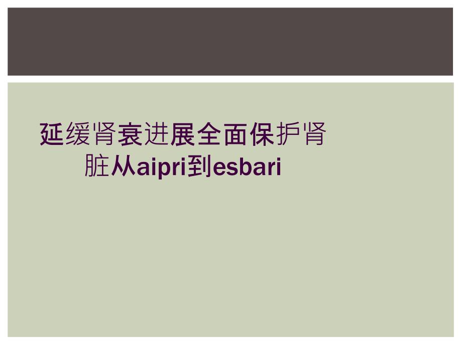 延缓肾衰进展全面保护肾脏从aipri到esbari_第1页