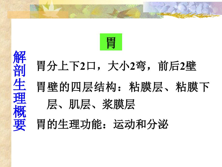 第十七章胃十二指肠疾病病人护理_第1页