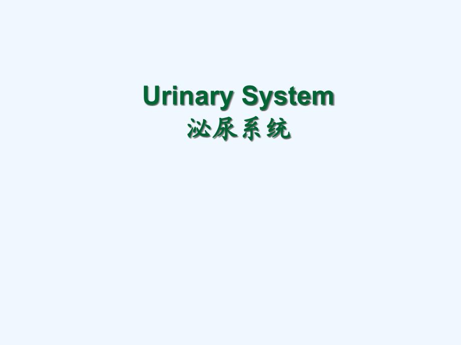 系统解剖泌尿系统英文版UrinarySystem_第1页