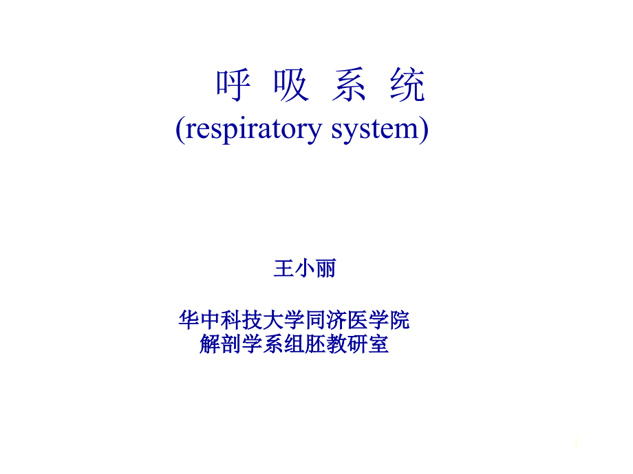 组织学与胚胎学呼吸系统_第1页