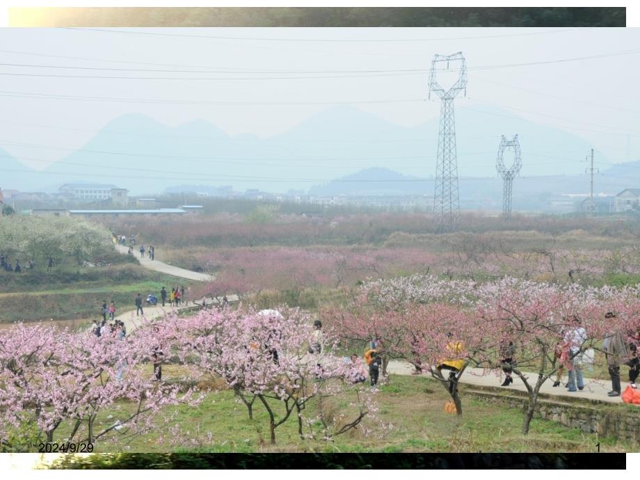 秀山环境土壤学_第1页