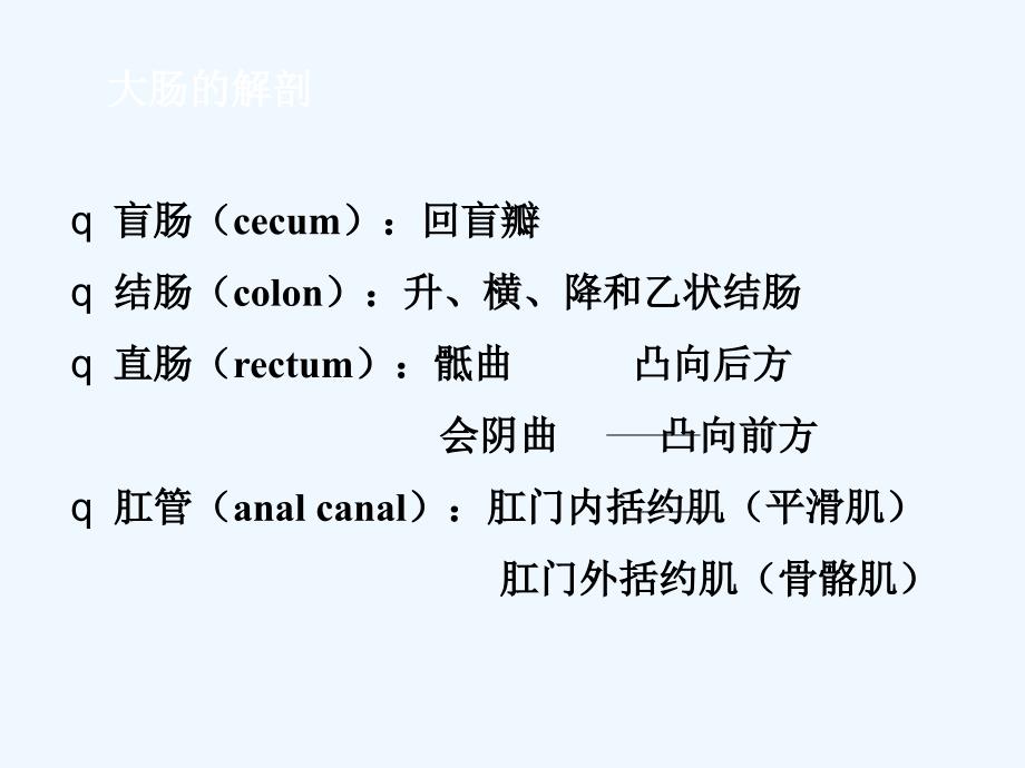 第十六章排便护理_第1页