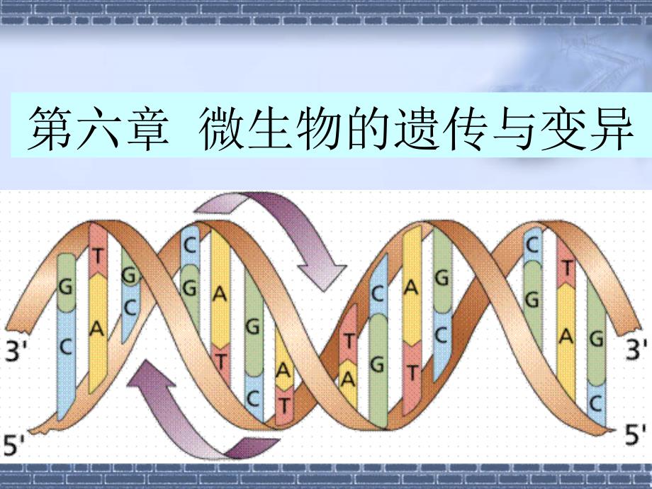 环境微生物学第六章_第1页