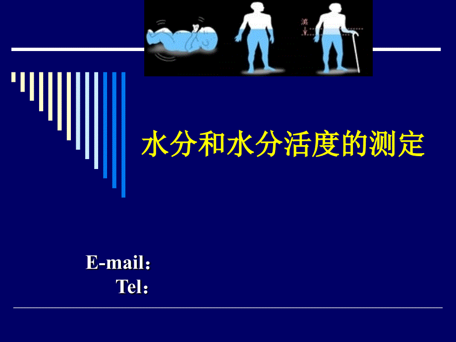 食品理化检验 水分测定_第1页