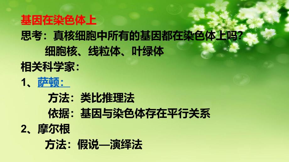 2021届高三一轮复习ppt课件：基因在染色体上、伴性遗传及人类遗传病_第1页