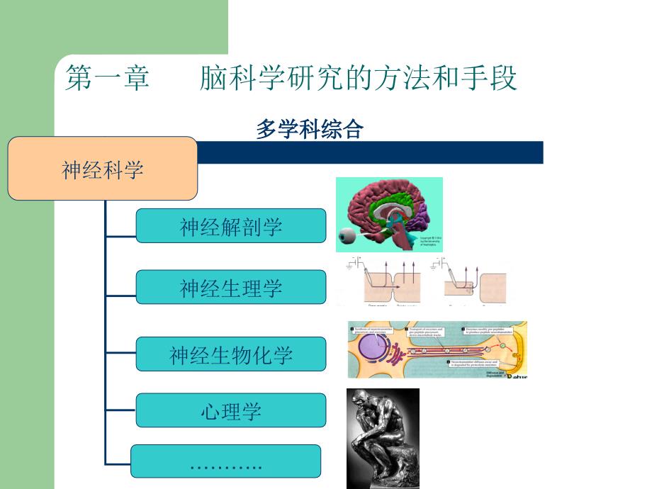 脑科学研究方法_第1页