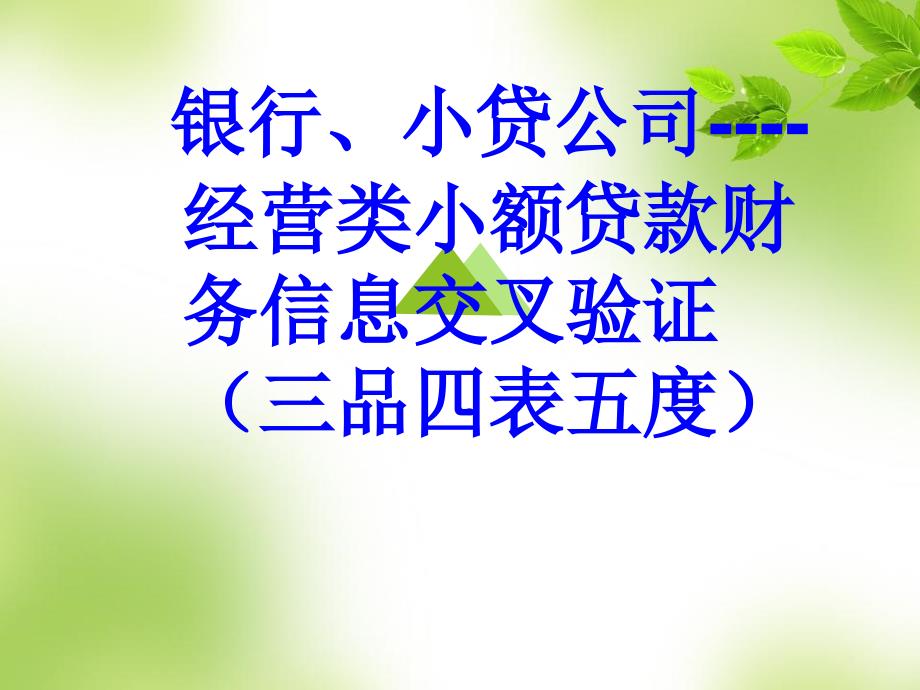 银行、小贷公司----经营类小额贷款财务信息交叉验证(三品四表五度)_第1页