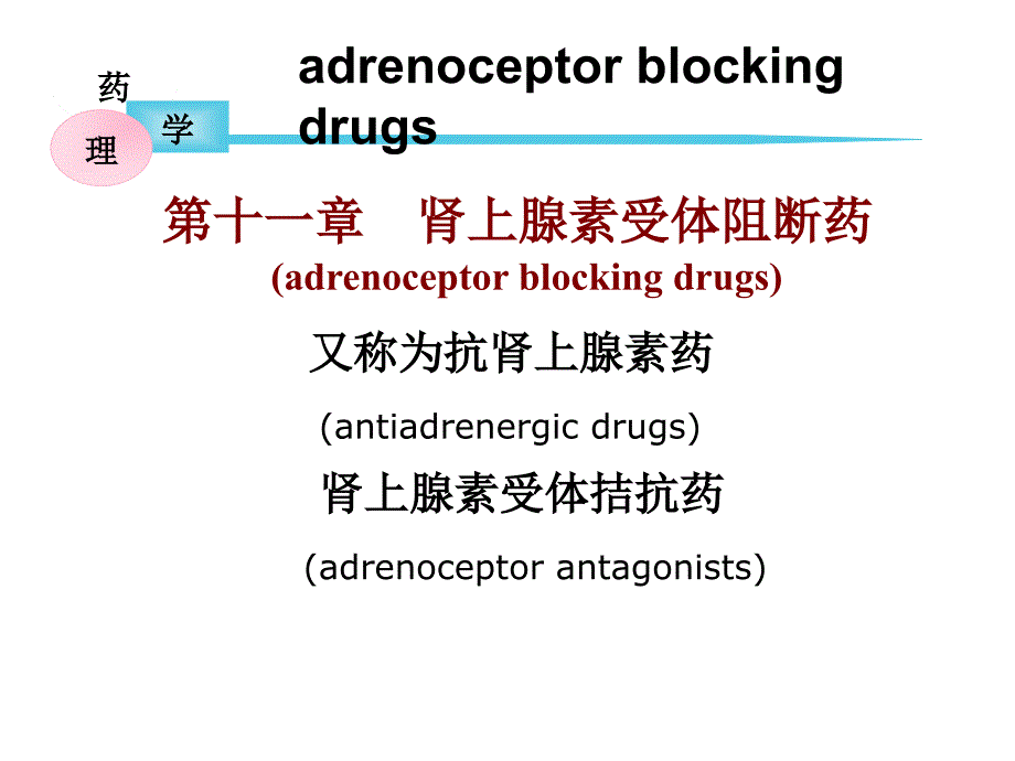 药理学PPT课件_第1页