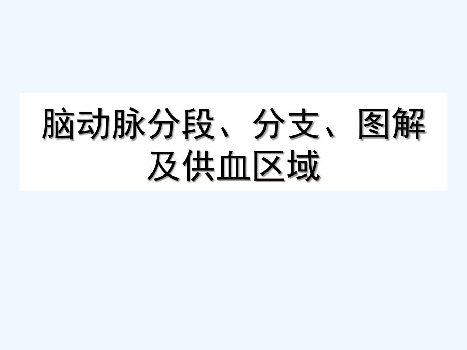 脑动脉分段分支图解及供血区域_第1页