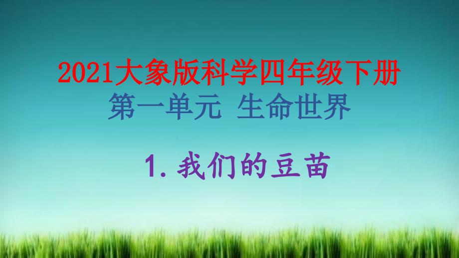 2021最新大象版科学四年级下册1.1我们的豆苗-ppt课件及练习题和答案_第1页