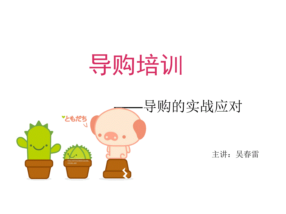 导购的实战应对专题讲义_第1页