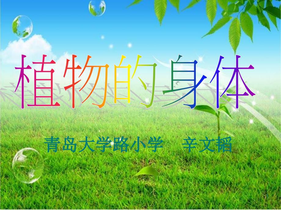 青岛版科学四上《植物的身体》课件十二_第1页