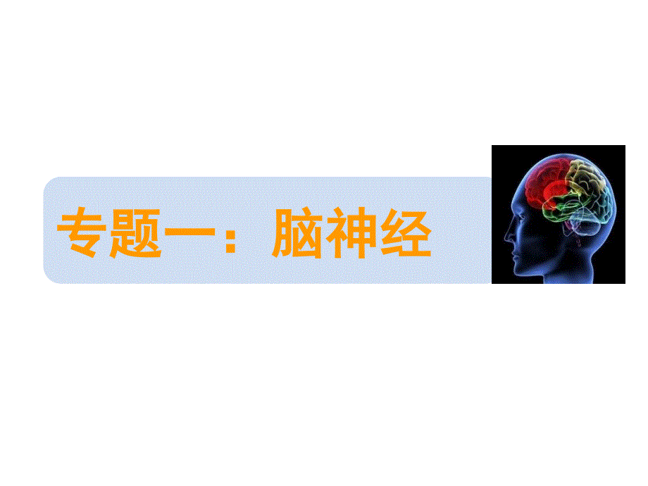 脑神经解剖定位诊断和体格检查学时_第1页