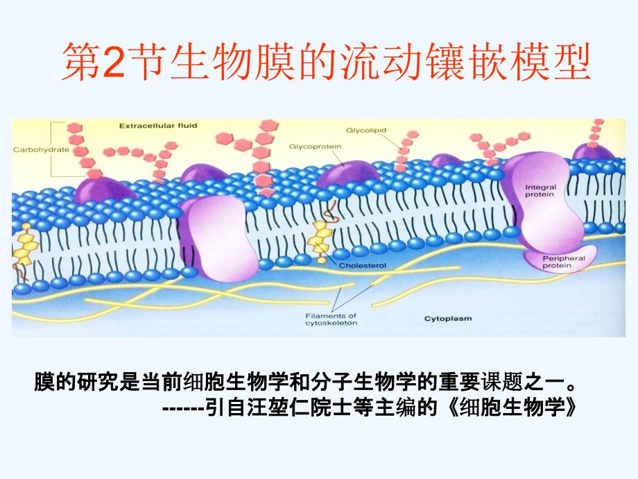 膜研究是当前细胞生物学和分子生物学重要课题之一_第1页