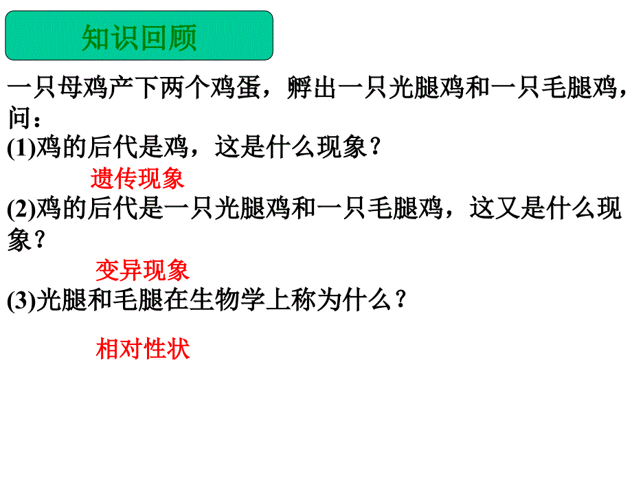 20.2-性状遗传的物质基础1_第1页