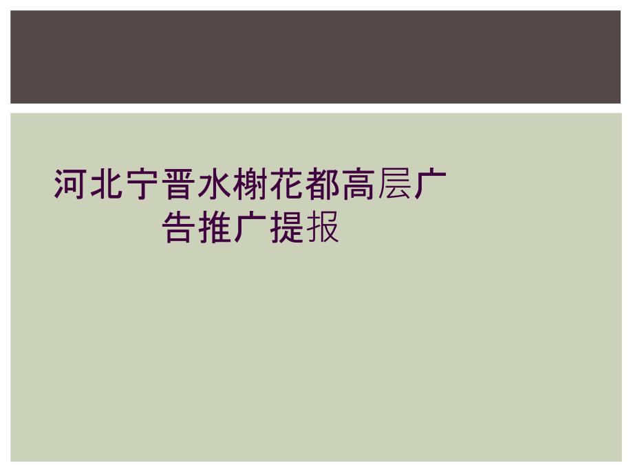 河北宁晋水榭花都高层广告推广提报_第1页