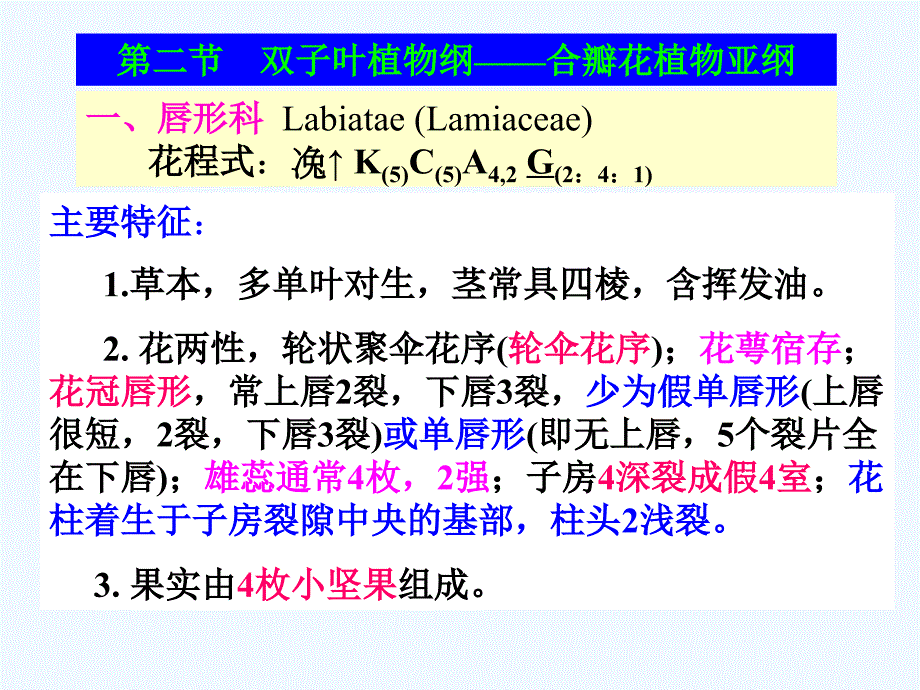 药用植物学课件 被子植物代表植物三_第1页