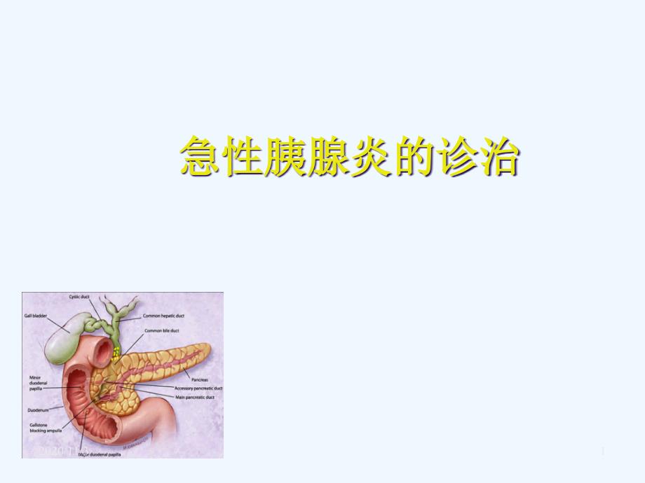 急性胰腺炎的诊治_第1页