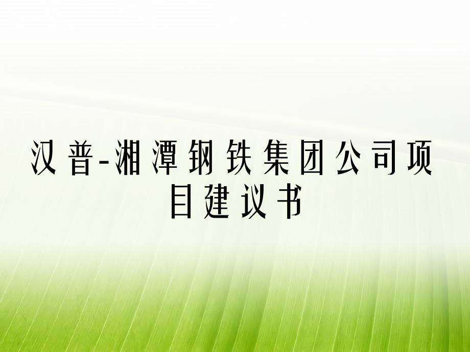 汉普湘潭钢铁集团公司项目建议书_第1页