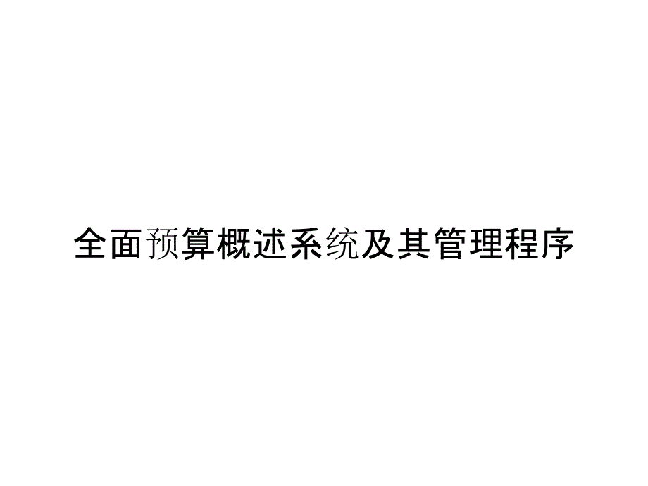 全面预算概述系统及其管理程序_第1页