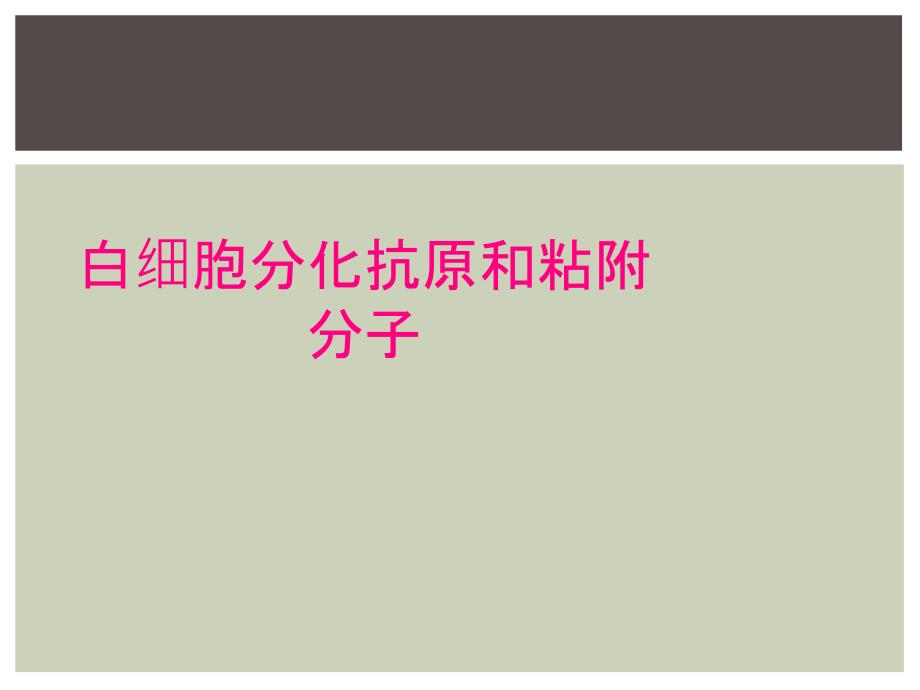 白细胞分化抗原和粘附分子_第1页