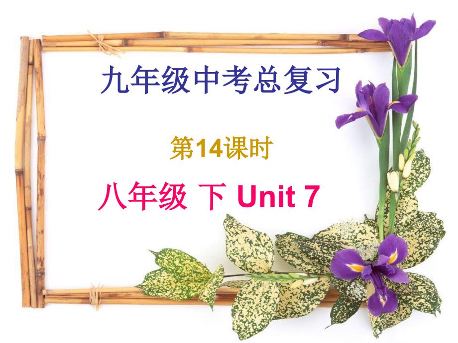 中考总复习--八年级下Unit7_第1页