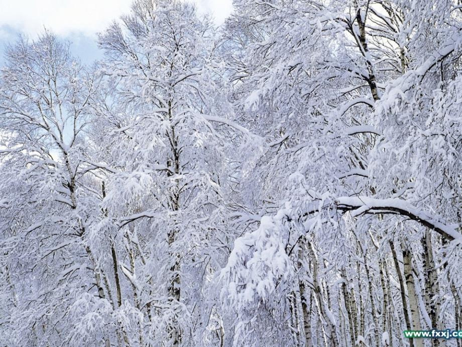 鲁迅的散文诗《雪》课件_第1页