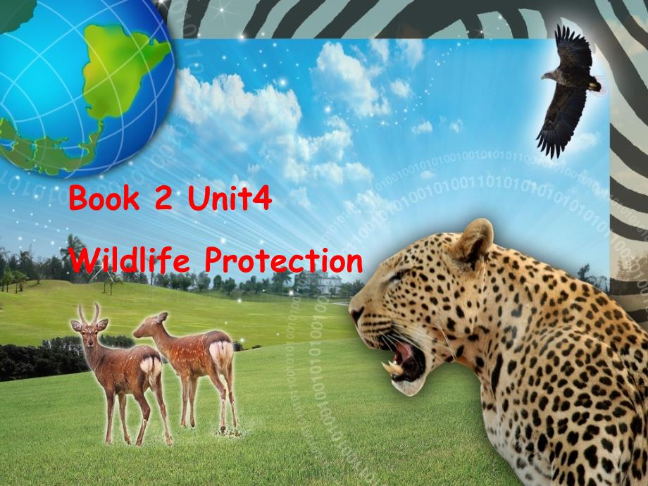 人教版高中英语必修二ppt课件：uint4-wildlife-protection_第1页