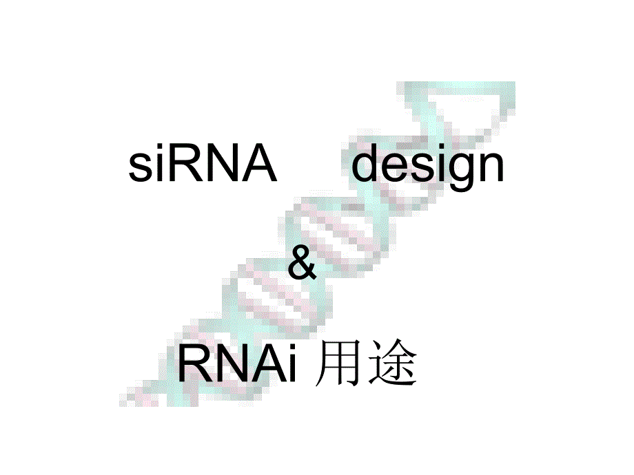 5种制备siRNAs的方法 - 首都师范大学精品课程网_第1页