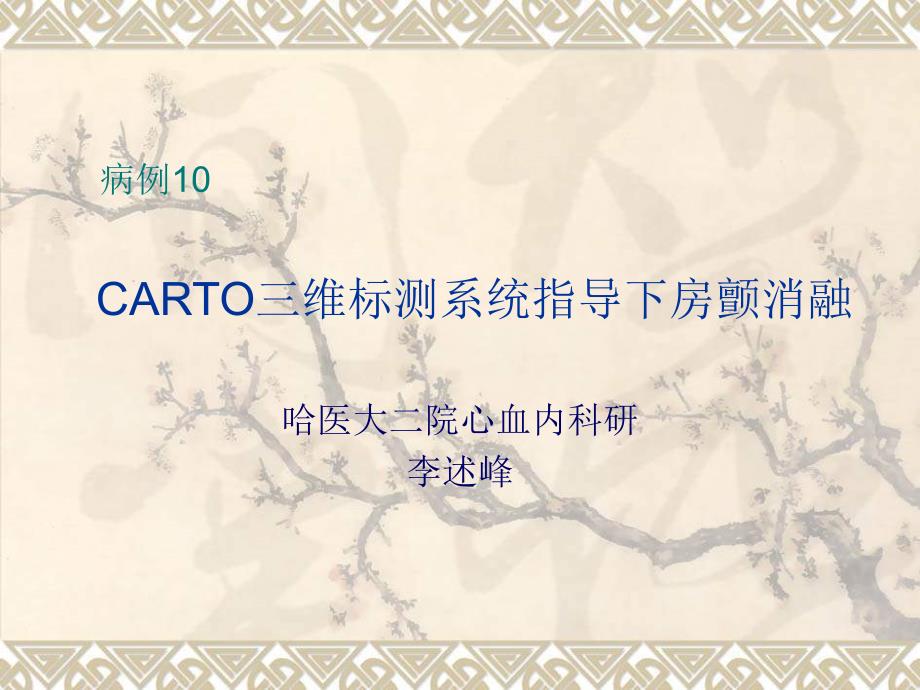 CARTO三维标测系统指导下房颤消融_第1页