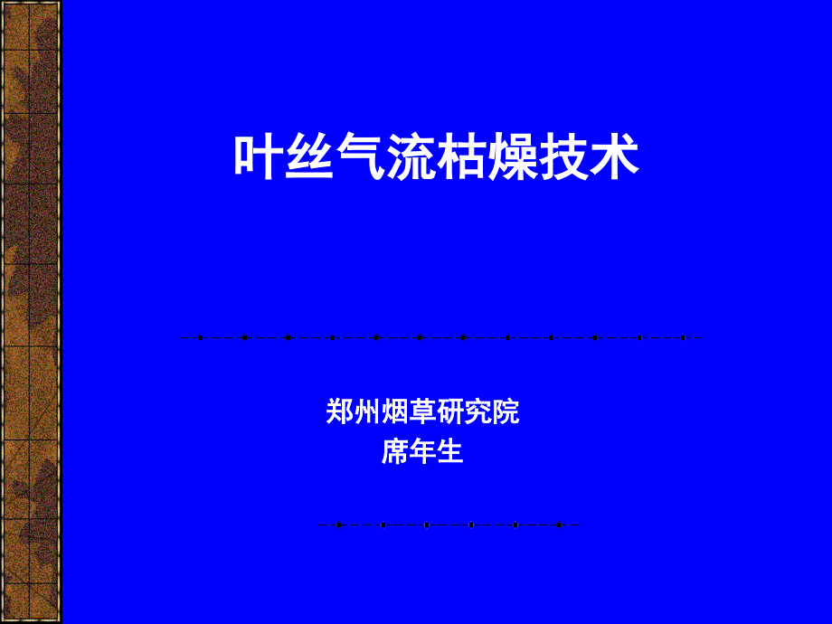 叶丝气流干燥技术_第1页