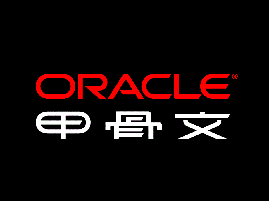 Oracle 的数据仓库解决方案_第1页