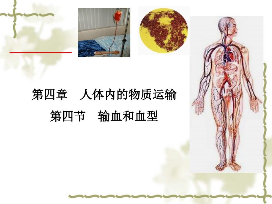 输血和血型_第1页