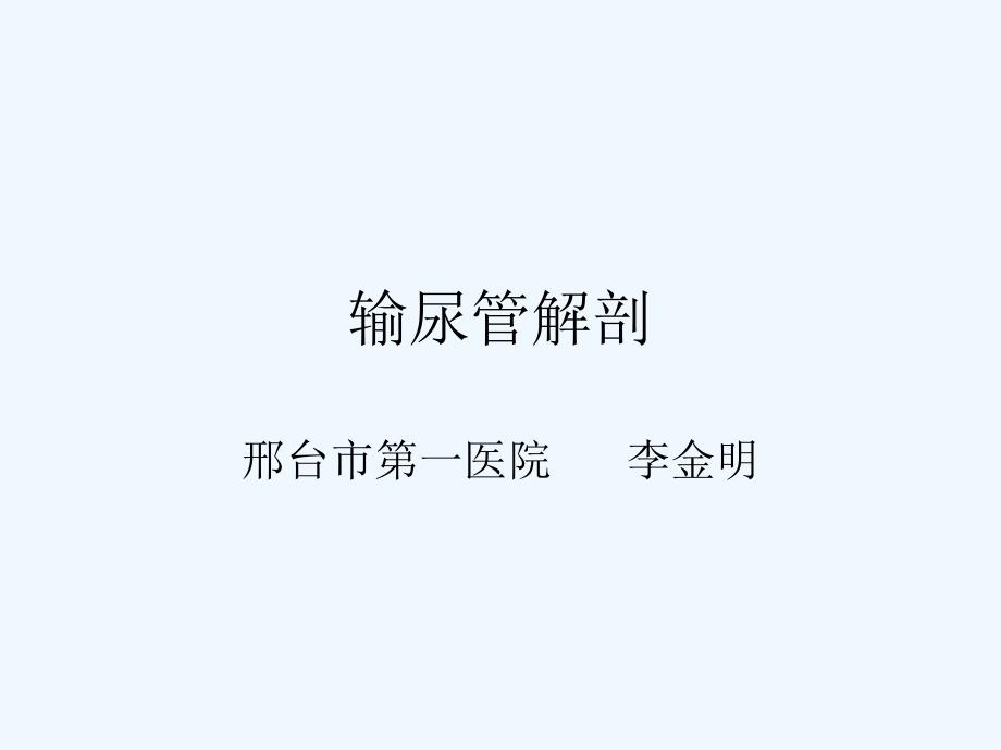 输尿管解剖_第1页